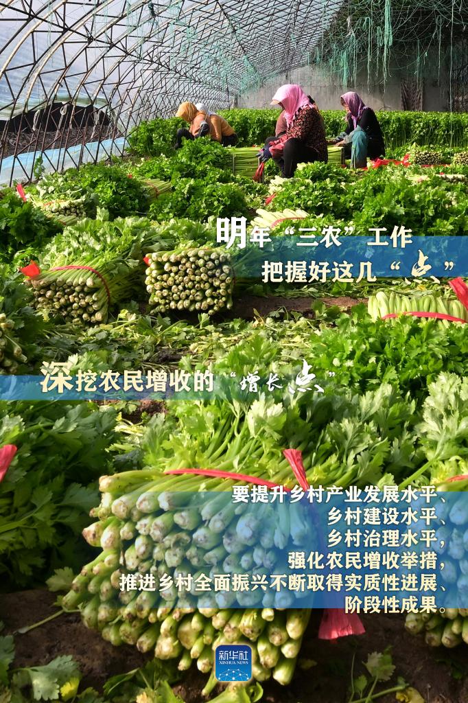 明年“三農(nóng)”工作，這幾個“點”要把握好