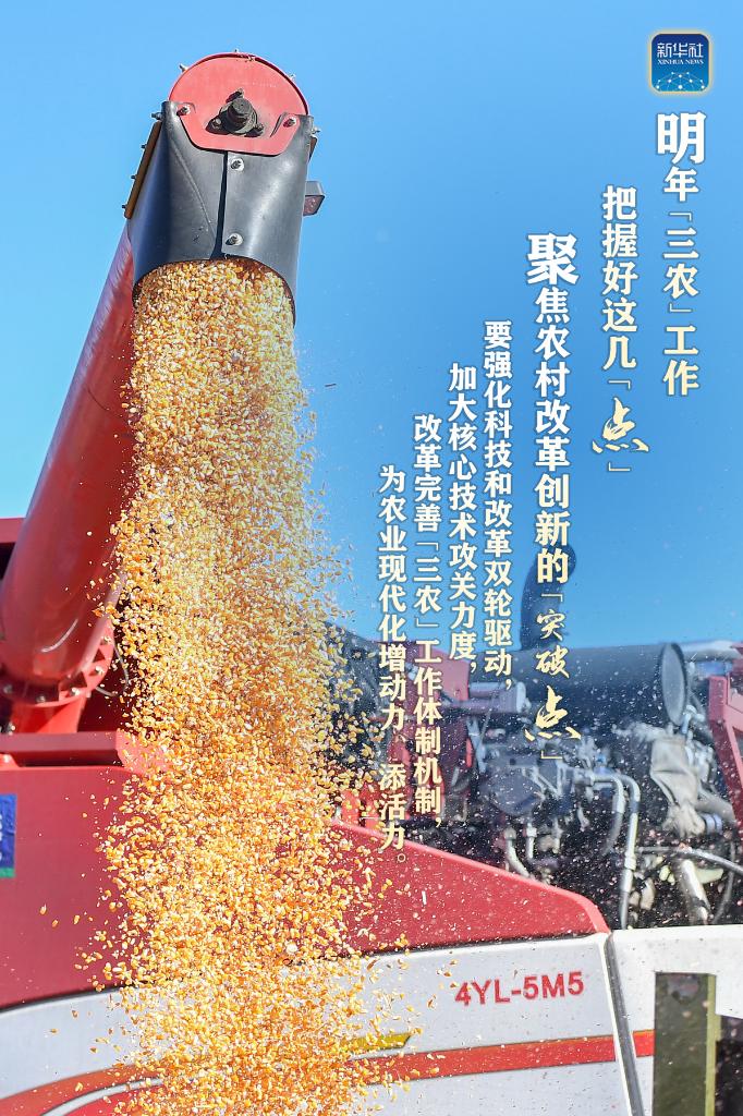 明年“三農(nóng)”工作，這幾個“點”要把握好