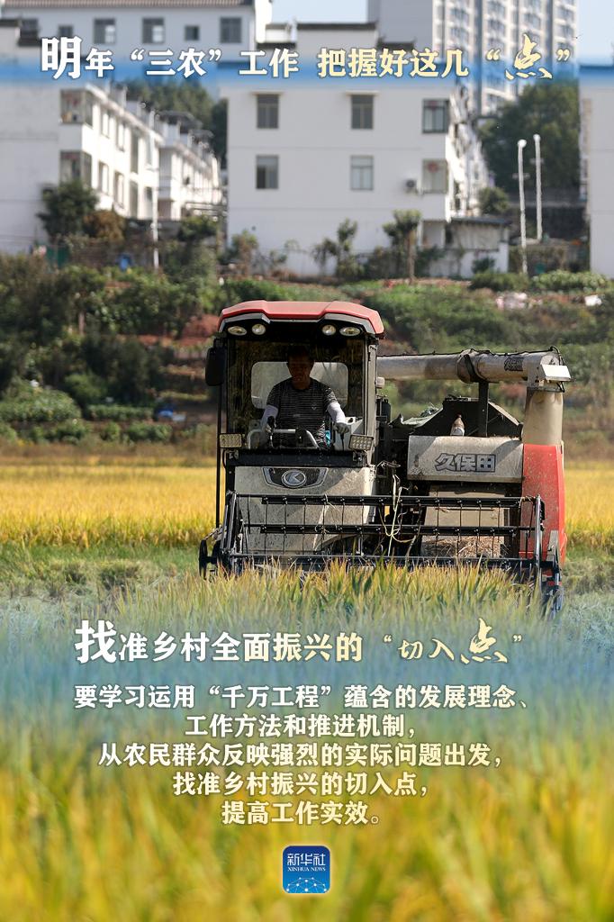 明年“三農(nóng)”工作，這幾個“點”要把握好