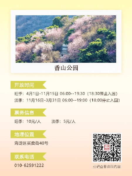 追花指南第六期！杏花雨 楊柳風 北京最美的杏花在這里