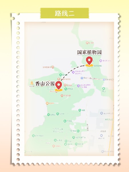 追花指南第六期！杏花雨 楊柳風 北京最美的杏花在這里