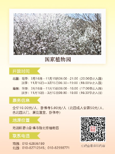 追花指南第六期！杏花雨 楊柳風 北京最美的杏花在這里