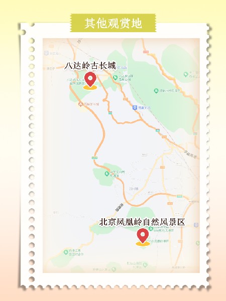 追花指南第六期！杏花雨 楊柳風 北京最美的杏花在這里