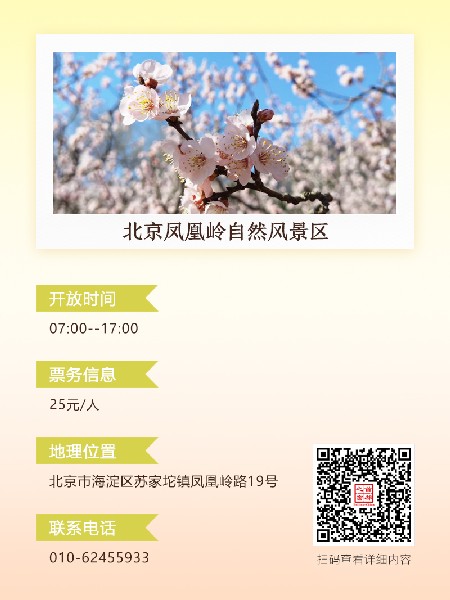 追花指南第六期！杏花雨 楊柳風 北京最美的杏花在這里