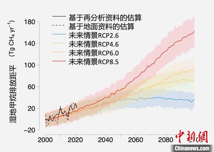 基于觀測(cè)的濕地甲烷排放變化與未來(lái)氣候變化情景下估算的對(duì)比?！≈锌圃呵嗖馗咴?供圖