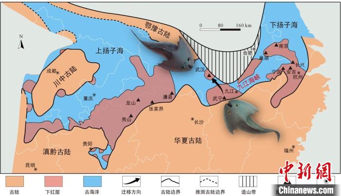 華南地區(qū)志留紀(jì)早期古地理圖和盔甲魚類化石產(chǎn)地(山顯任改自陳旭、戎嘉余，1996；戎嘉余等，2012) 中科院古脊椎所 供圖