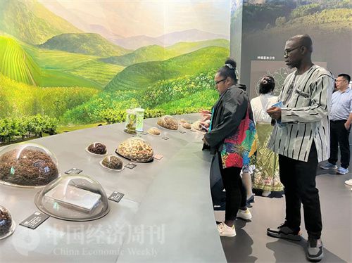   （在中國(guó)藥都中醫(yī)藥博物館，外媒記者了解中醫(yī)藥發(fā)展史。中國(guó)經(jīng)濟(jì)周刊記者 郭志強(qiáng) 攝）