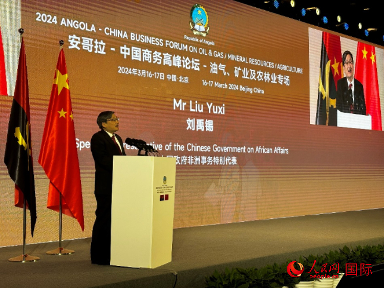 中國(guó)政府非洲事務(wù)特別代表劉禹錫。人民網(wǎng)記者 張榮攝
