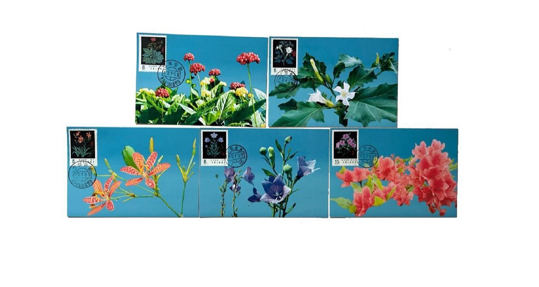 首套藥用植物極限片。第七屆阿聯(lián)酋集郵展主辦方供圖