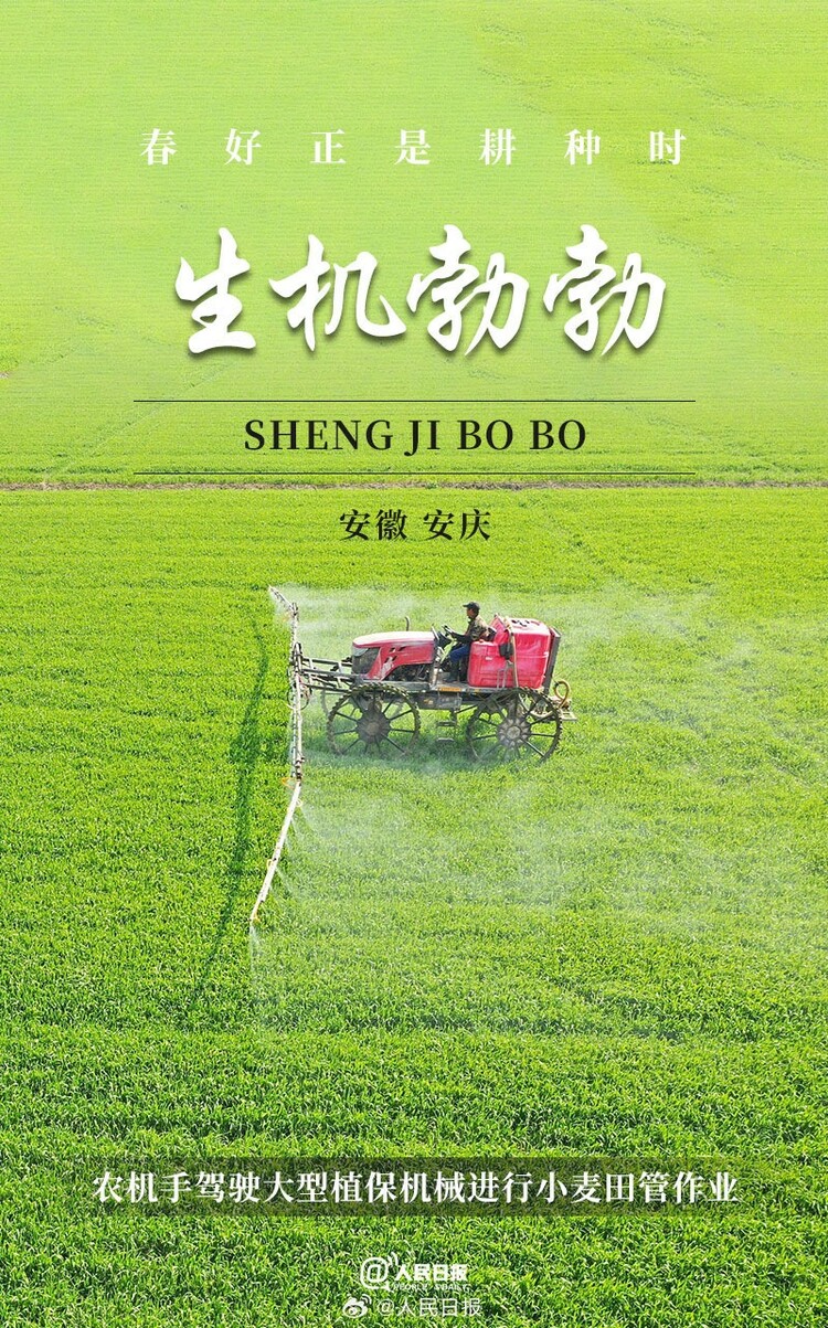 生機(jī)盎然！用課本封面打開春耕畫卷