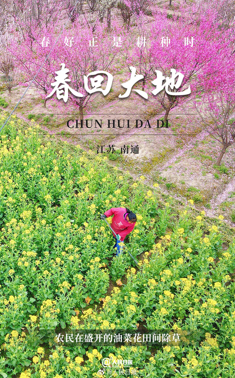 生機(jī)盎然！用課本封面打開春耕畫卷