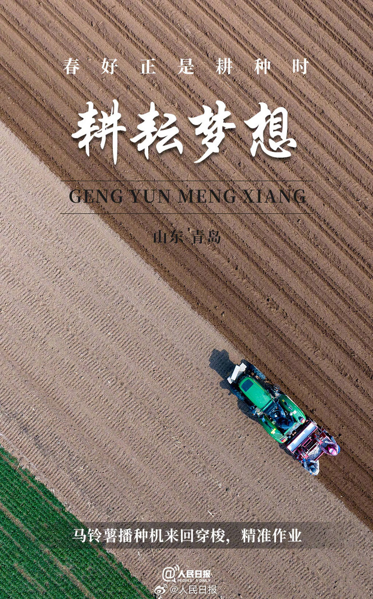 生機(jī)盎然！用課本封面打開春耕畫卷