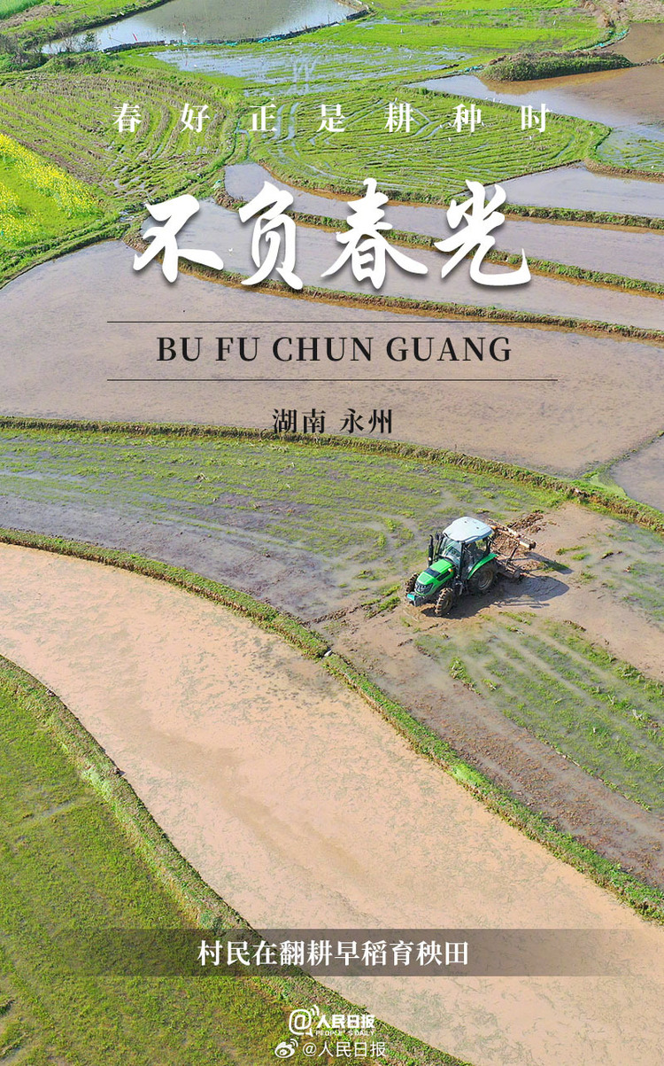 生機(jī)盎然！用課本封面打開春耕畫卷