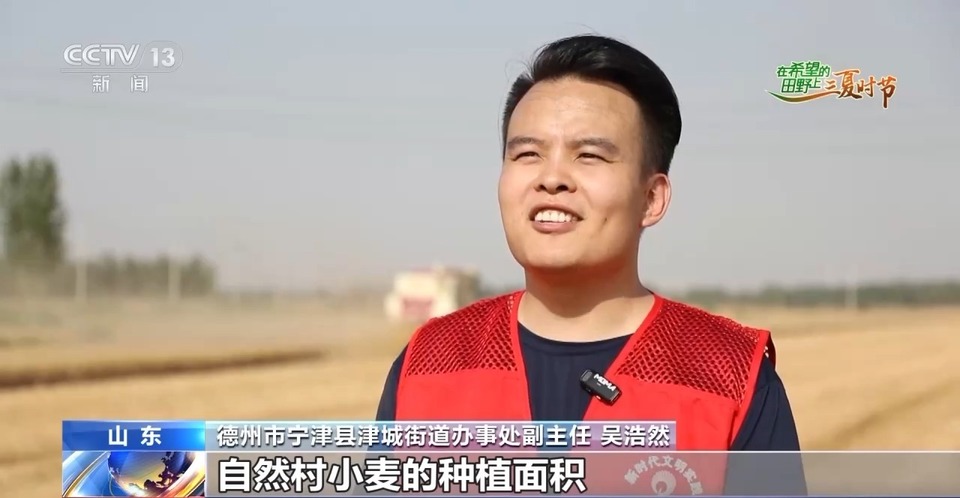 “三夏”生產(chǎn)思維導(dǎo)圖安排上了！還有政府大院等你來“曬”