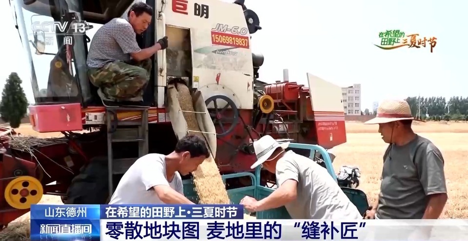 “三夏”生產(chǎn)思維導(dǎo)圖安排上了！還有政府大院等你來“曬”
