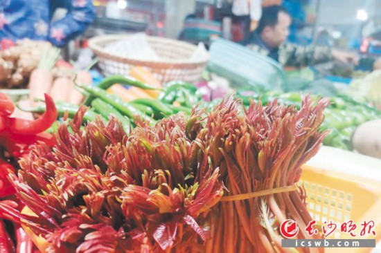 　　農(nóng)貿(mào)市場里鮮嫩的香椿?！　【鶠殚L沙晚報(bào)全媒體記者 劉捷萍 攝