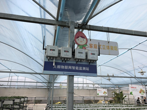 都市四季果園內(nèi)的物聯(lián)網(wǎng)智能監(jiān)測(cè)站系統(tǒng)。東?？h委宣傳部供圖