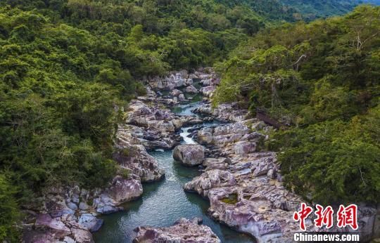 2018年海南生態(tài)環(huán)境狀況等級為“優(yōu)”，植被覆蓋率高，生物多樣性豐富，生態(tài)系統(tǒng)穩(wěn)定，圖為海南中部熱帶雨林。　駱云飛　攝