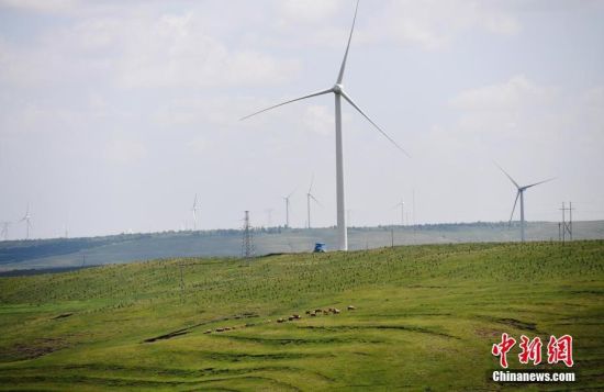 6月28日，河北張家口張北草原上大片風(fēng)力發(fā)電的“風(fēng)車”規(guī)模宏大。 中新社記者 楊艷敏 攝