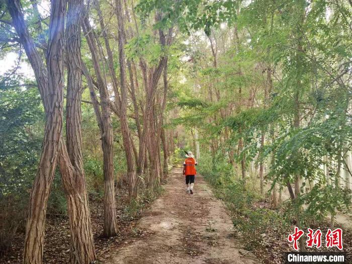戈壁灘上的護林員：以前風吹睜不開眼，現(xiàn)在滿眼皆綠色