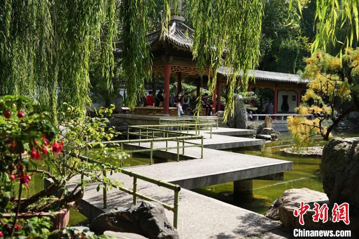 圖為西寧園林植物園秋日風(fēng)景別有韻味?！●R銘言 攝