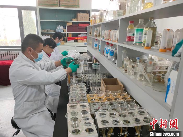 資料圖為研究團隊進行樣本檢查?！?青海省畜牧獸醫(yī)科學(xué)院供圖
