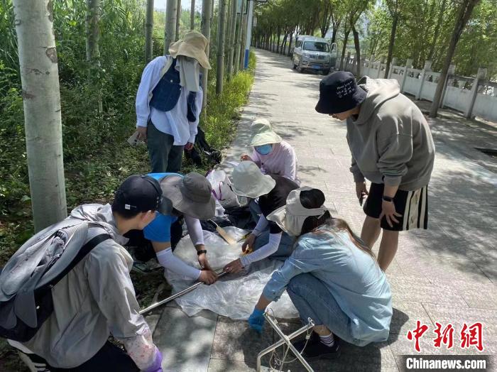圖為科研人員正在進(jìn)行監(jiān)測。　西寧湟水國家濕地公園供圖
