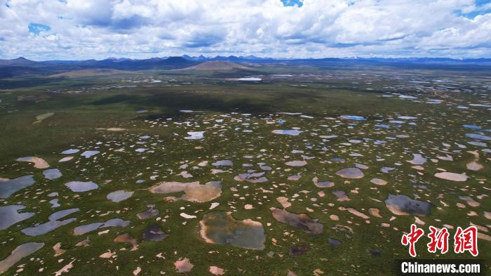 青海整治侵占、污染、破壞濕地類型自然保護地