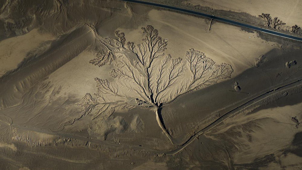 無人機視角下的西藏阿里地區(qū)改則縣“大地之樹”景觀。尼瑪多吉攝
