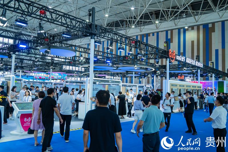 2、2024數(shù)博會(huì)共吸引400余家展商參展。人民網(wǎng) 陽茜攝.jpg