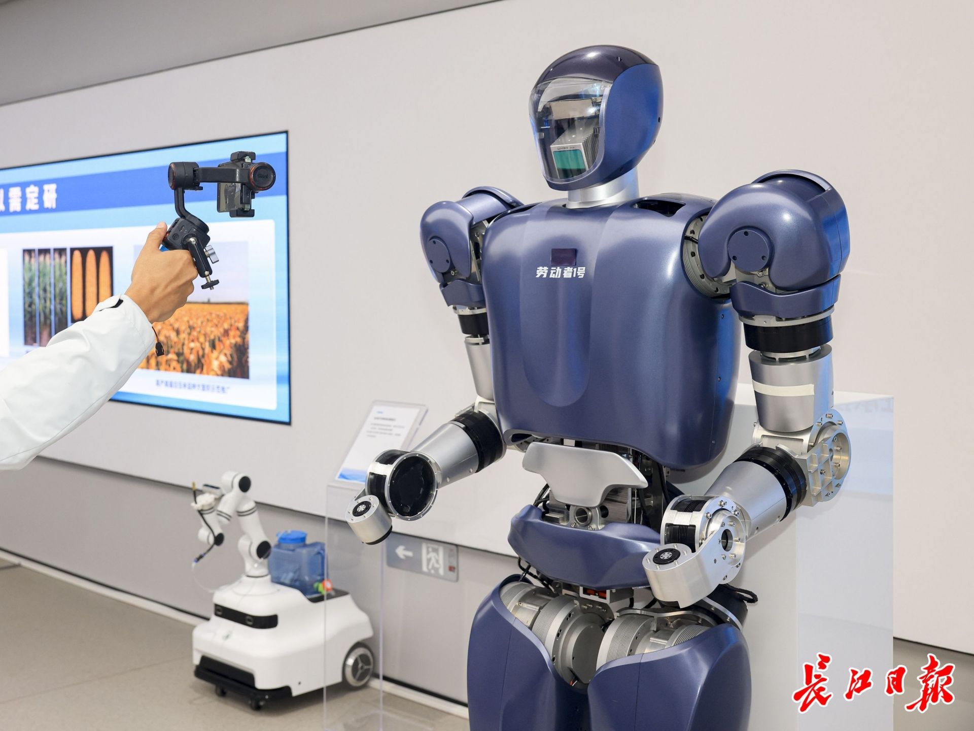 格藍(lán)若人形機(jī)器人。長江日?qǐng)?bào)記者胡冬冬 攝