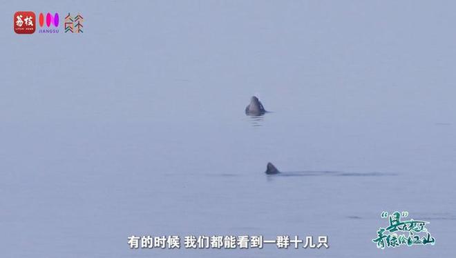 “縣”在起筆 青綠繪江山 | 江灣沐曉：褪去“銹色”走“金線”，繡出生態(tài)與產(chǎn)業(yè)“雙面錦”