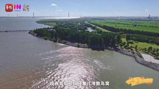 “縣”在起筆 青綠繪江山 | 江灣沐曉：褪去“銹色”走“金線”，繡出生態(tài)與產(chǎn)業(yè)“雙面錦”