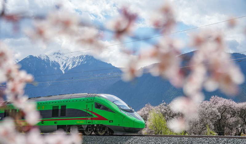 2025年4月2日，復(fù)興號列車穿行在拉林鐵路林芝段。