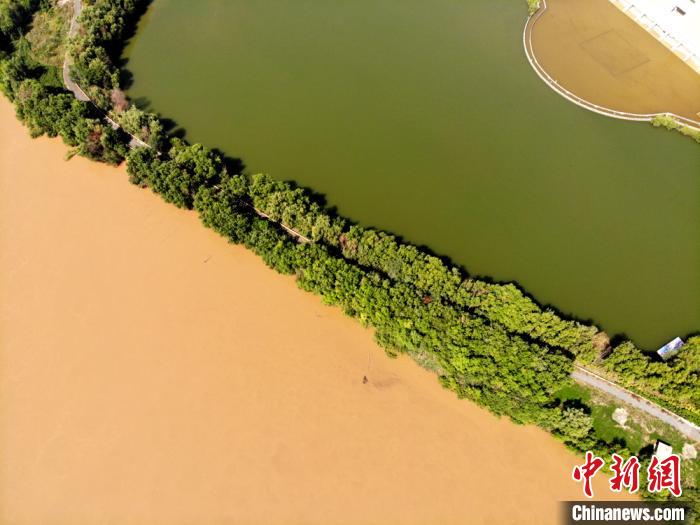圖為2020年9月3日航拍黃河蘭州段濕地公園現(xiàn)黃河“鴛鴦鍋”。(資料圖) 高瑩 攝