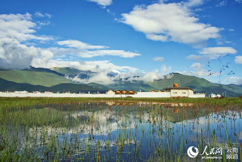 納帕海濕地風(fēng)景。呂昊辰攝