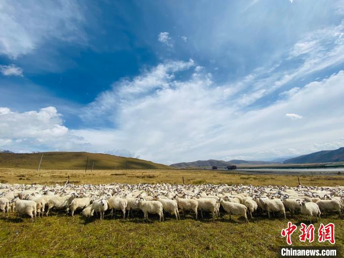 三江源國家公園：科技畜牧支撐生態(tài)保護和區(qū)域經(jīng)濟協(xié)調發(fā)展