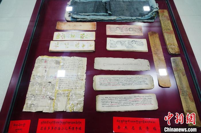 圖為藏醫(yī)古集文獻(xiàn)和藏醫(yī)臨床原始手稿?！●R銘言 攝