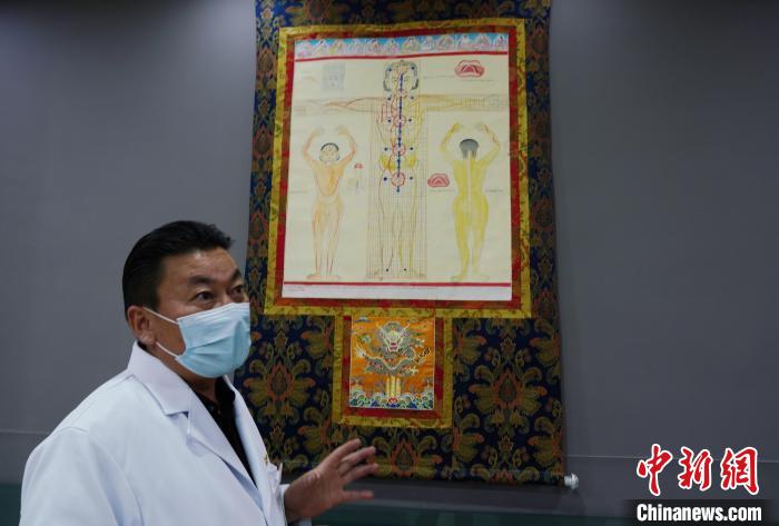 圖為興?？h藏醫(yī)院院長介紹藏醫(yī)四部醫(yī)典詳實(shí)圖?！●R銘言 攝