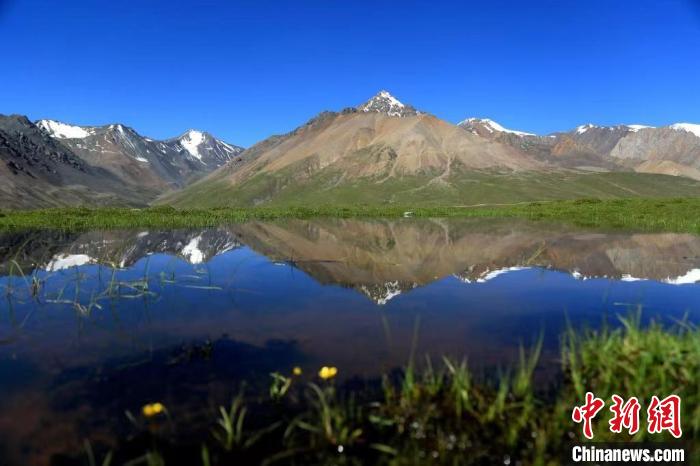 青海:以國(guó)家公園為主體的新型自然保護(hù)地體系已基本成型