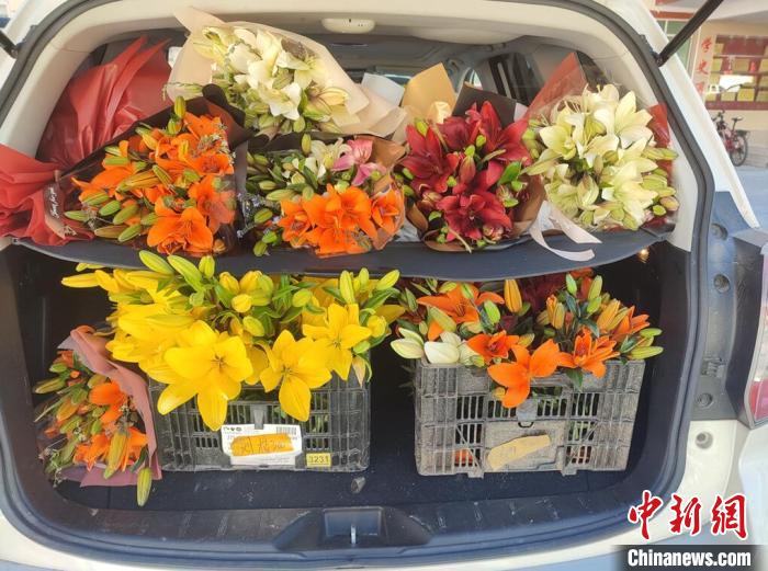 剛剛采摘下來的百合花?！∪捞量h委宣傳部供圖