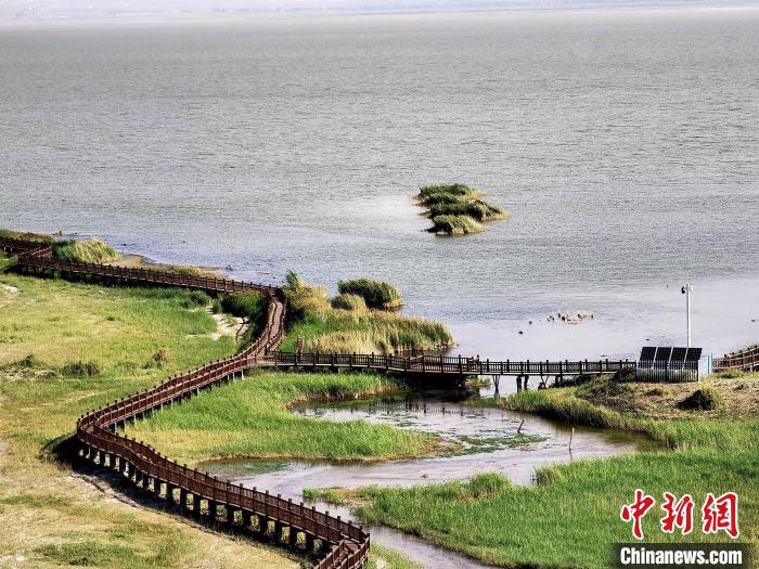 圖為都蘭湖國(guó)家濕地公園觀光棧道?！∑钤鲚?攝