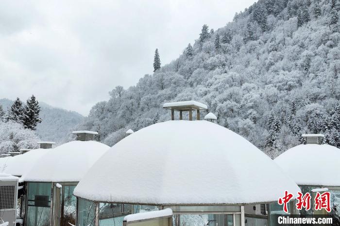 大熊貓國家公園王朗片區(qū)春雪如畫，宛若仙境?！×_春平 攝