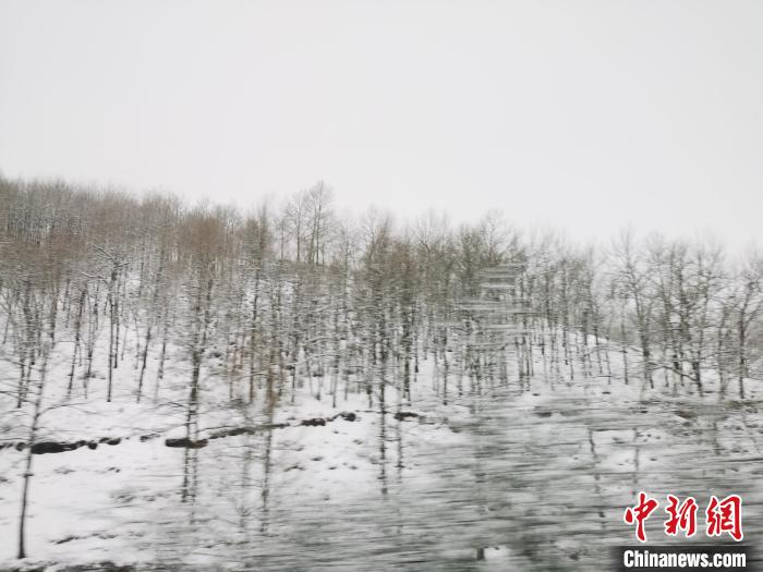 圖為青海青沙山區(qū)域被降雪覆蓋?！?zhí)砀?攝