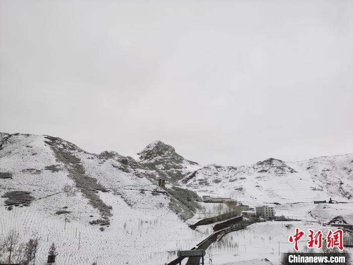 圖為青海省東南部的青沙山區(qū)域銀裝素裹。　張?zhí)砀?攝