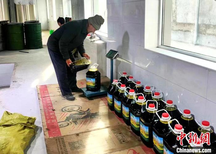 圖為高原油菜籽榨出的菜籽油?！埖么?攝