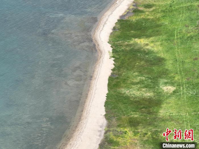 圖為航拍仲夏時節(jié)，青海湖畔綠茵如毯?！∑钤鲚?攝