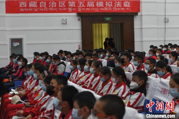 圖為西藏自治區(qū)第五屆模擬法庭現(xiàn)場。　貢嘎來松 攝