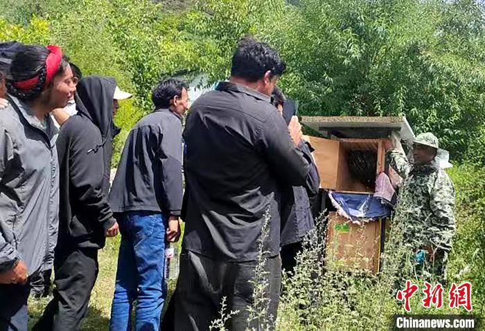 拉久西村村民學習養(yǎng)蜂工作流程和防范事項。　昌都市芒康縣委宣傳部供圖