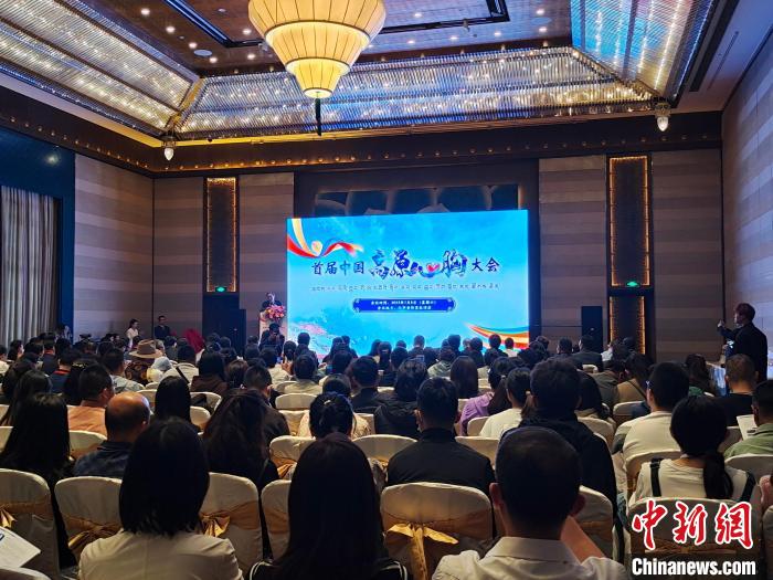圖為首屆中國高原心胸大會現(xiàn)場?！☆D旦旺姆 攝